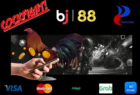 Exploring Ulutan: The Art of Cockfighting – BJ88 SABONG.